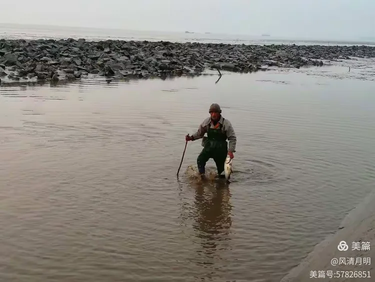 海边捕鱼经常拍